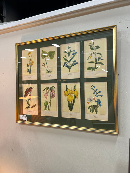 Botanical Prints