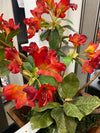 Flower Arrangement