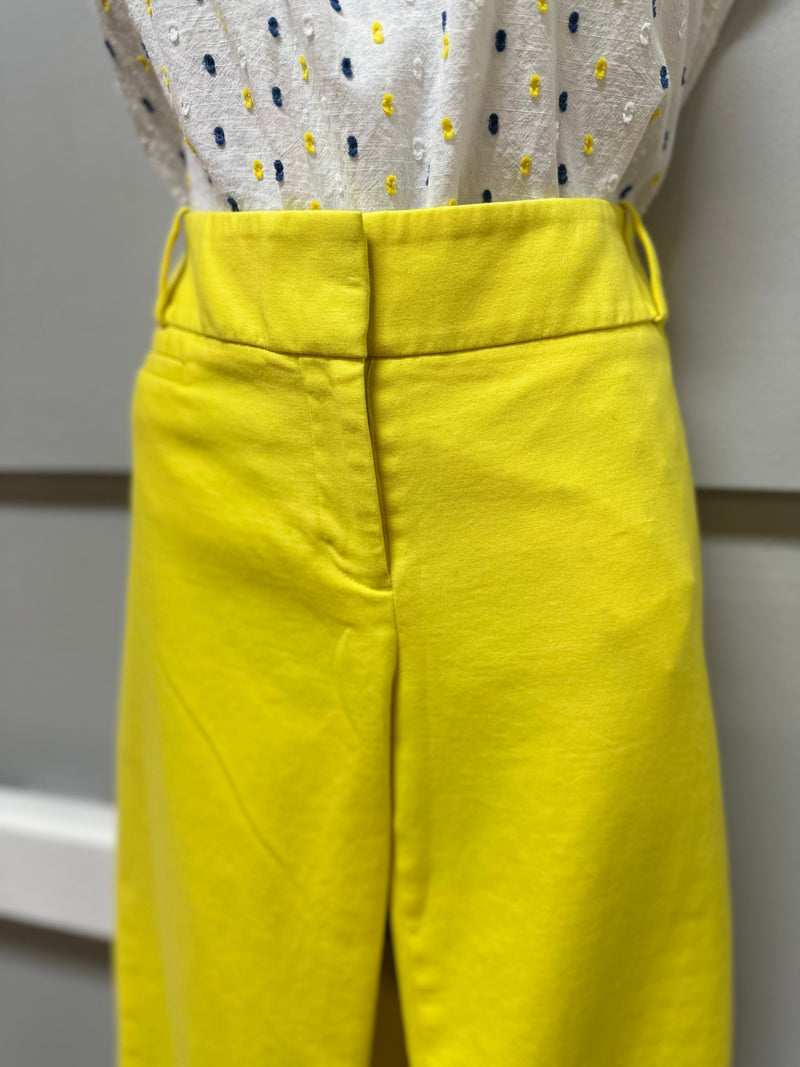 Loft Size 6 Pants