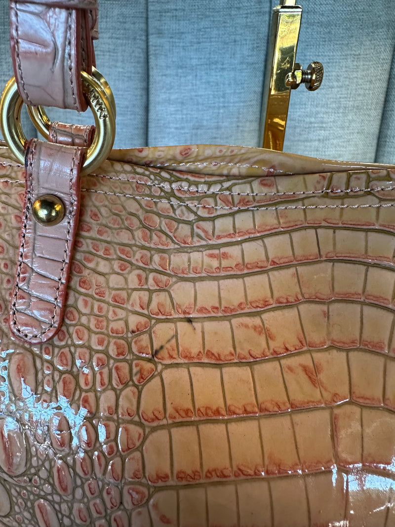 Brahmin Hand Bag