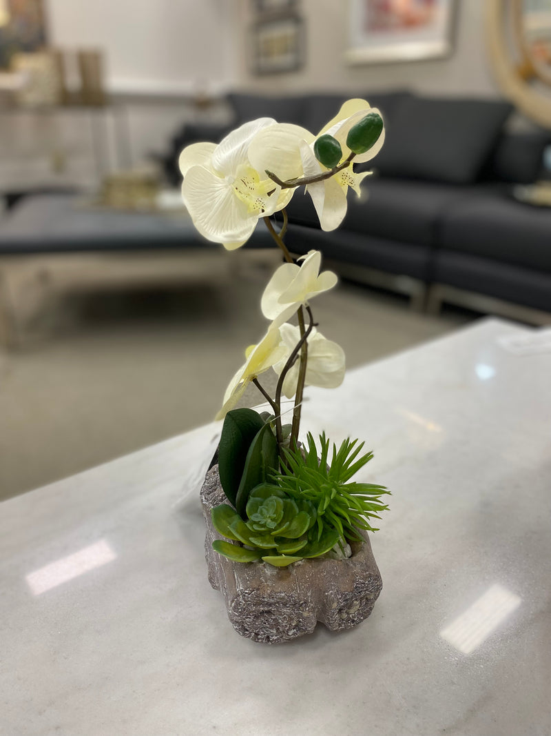 Home Decor