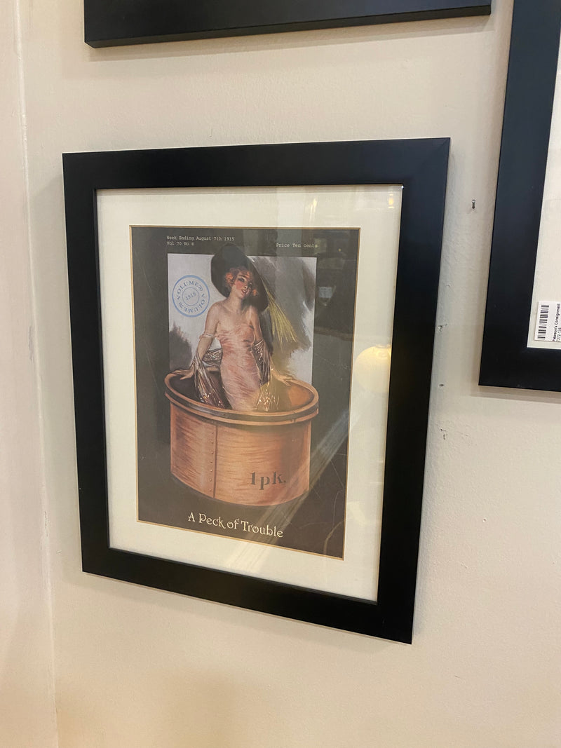 Framed Prints