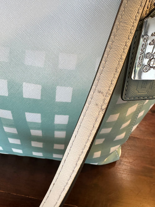 Coach Hand Bag