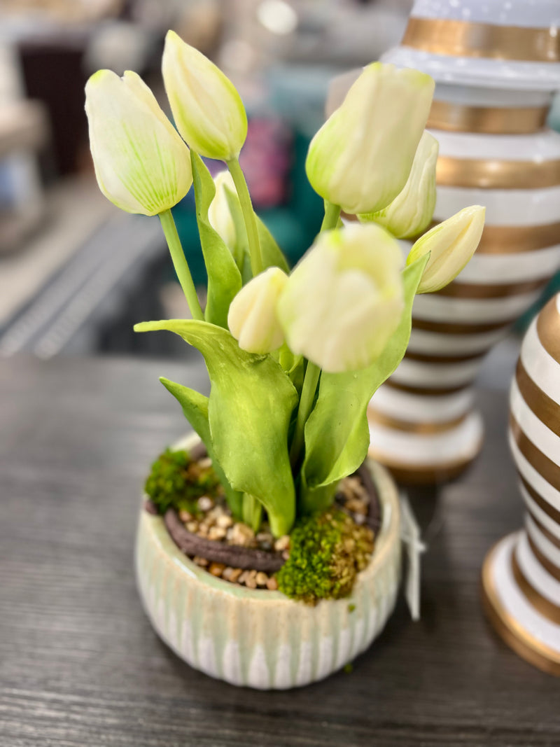 Silk Tulips