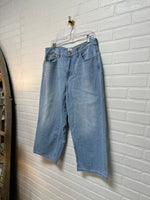 Madewell Size 31P Jeans