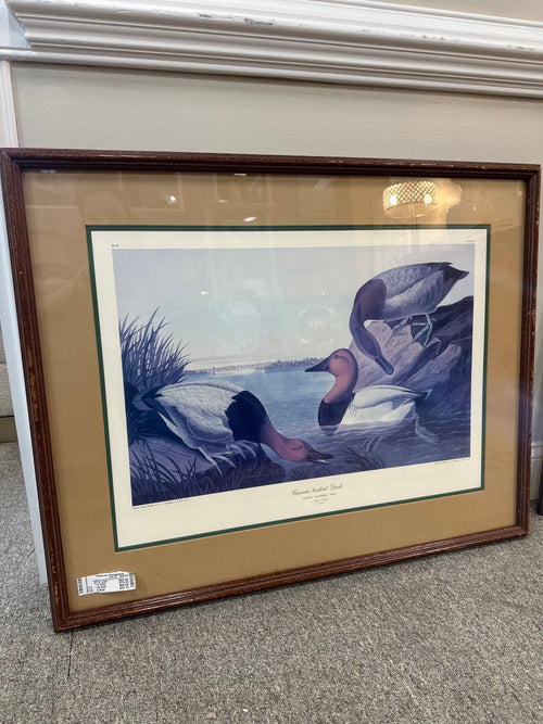 Audubon Print