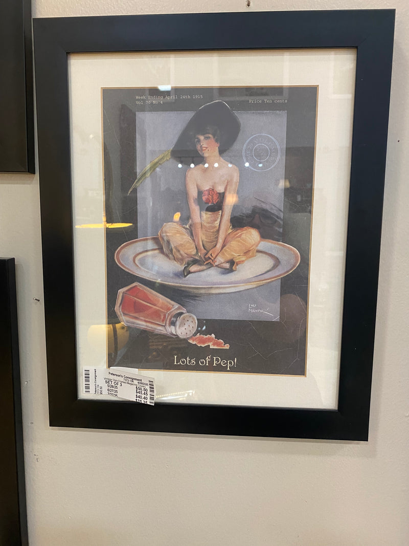 Framed Prints