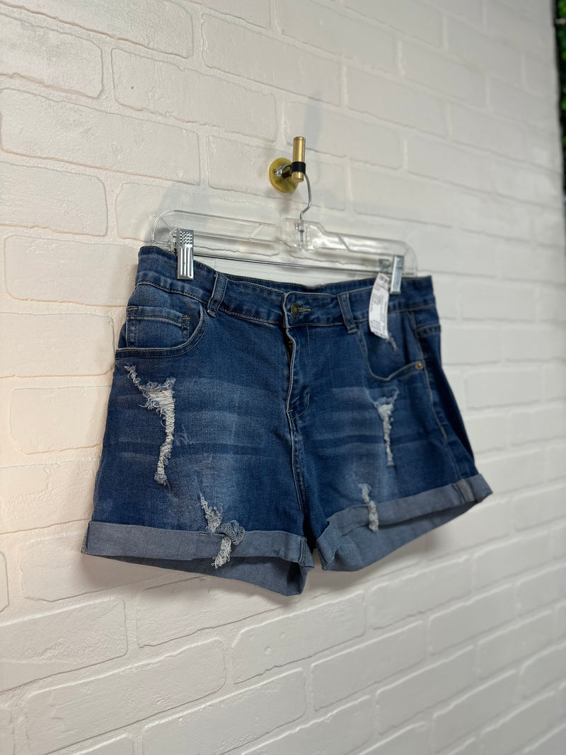 Size Large Shorts