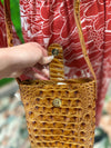 Brahmin Hand Bag