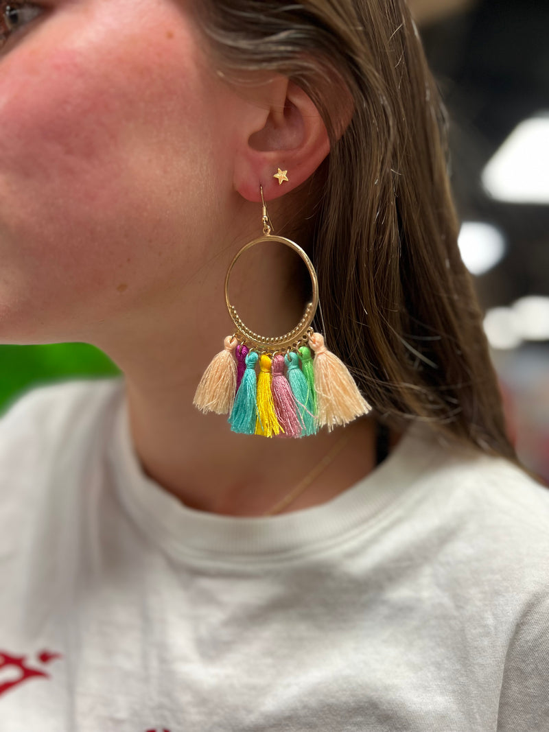 Earrings