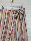 Free People Size 12 Skirt