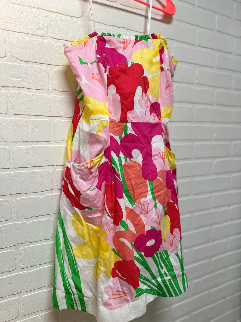 Lilly Pulitzer Size 4 Dress