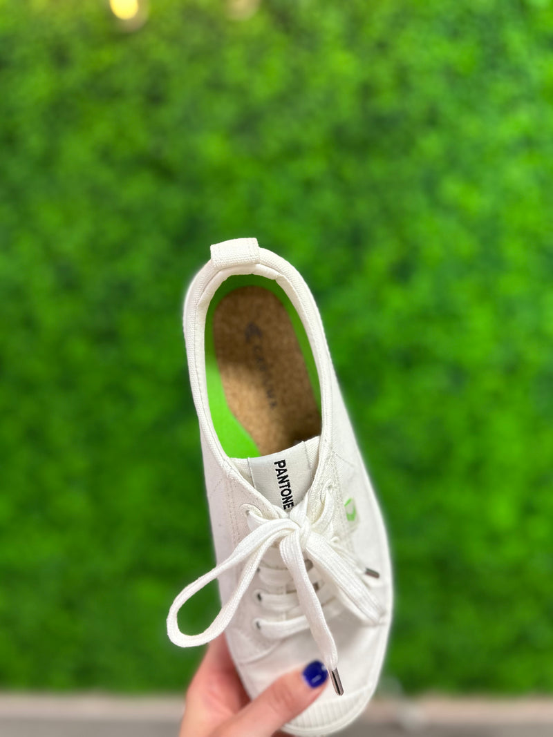 Carium/Pantone Size 8 Shoes