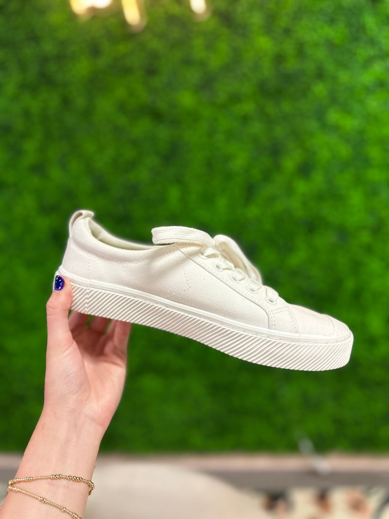 Carium/Pantone Size 8 Shoes