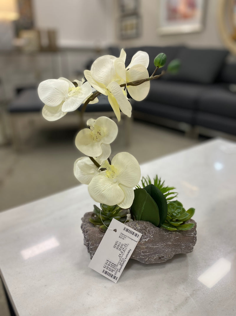 Home Decor