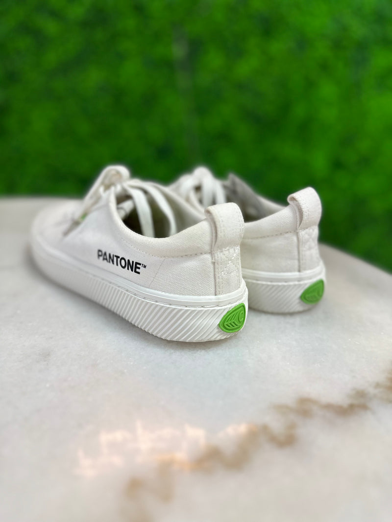 Carium/Pantone Size 8 Shoes