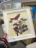 Framed Bird Print