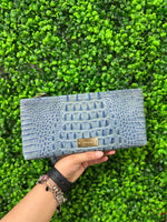 Brahmin Hand Bag
