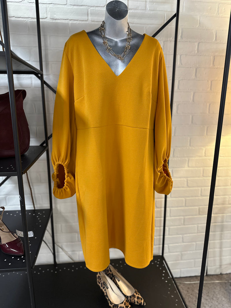 Size 16 Dress