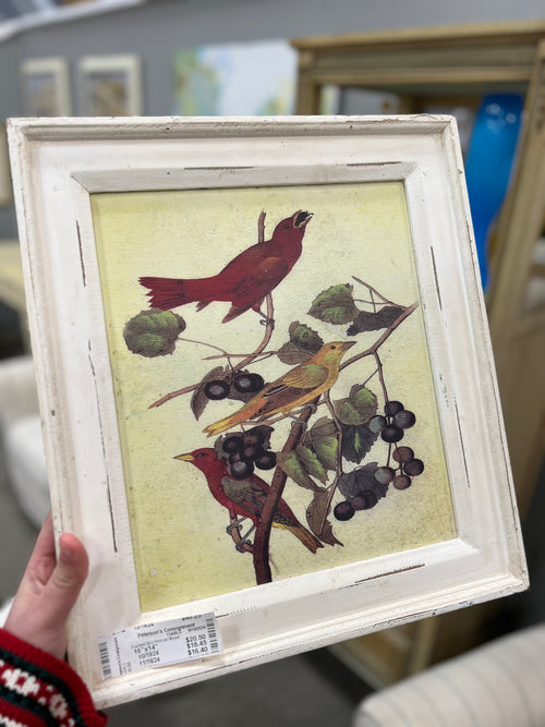 Framed Bird Print