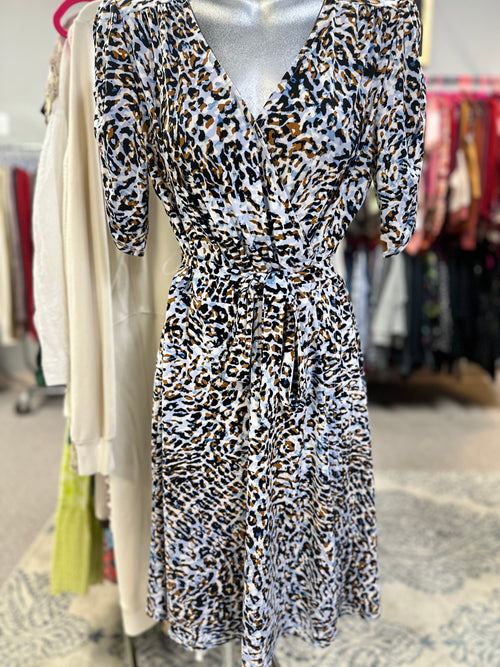 Sharagano Size 4 Dress